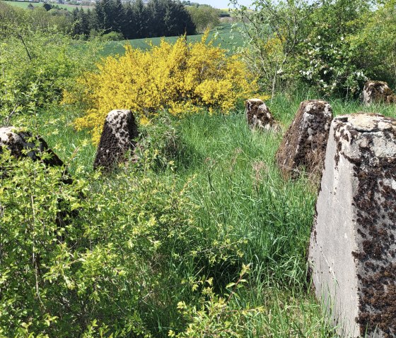 Westwall Wanderweg_TI Islek (1), &copy; TI Islek