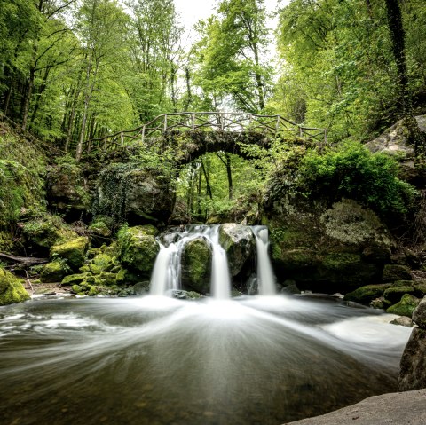  Schiessent&uuml;mpel, &copy; Eifel Tourismus GmbH, Dominik Ketz