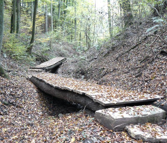 Een houten promenade baant zich een weg door een herfstbos bedekt met kleurrijk gebladerte., &copy; Felsenland S&uuml;deifel Tourismus GmbH, Christian Calonec-Rauchfuss