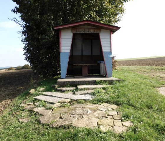 M&ouml;hn, &copy; Nicole Zimmer