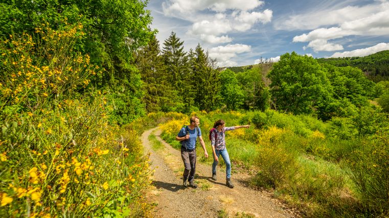 Two people are walking along a path in a green, wooded landscape with yellow flowers.