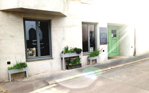 A modern building with two windows and a green door. In front of the house, there are flower boxes with plants.