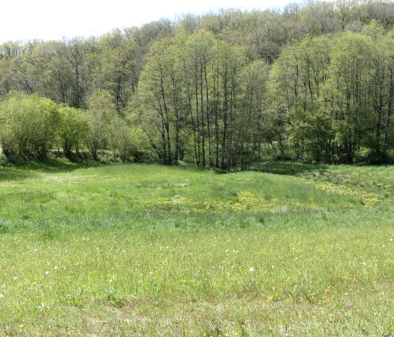 Dierbachdal, &copy; Tourist-Information Islek