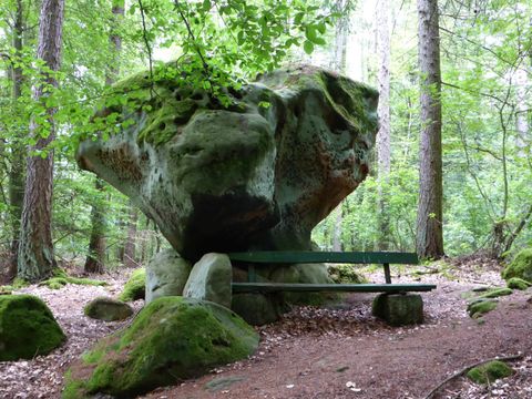 A large, moss-covered rock in a forest. Next to the rock stands a bench, surrounded by trees and green vegetation.