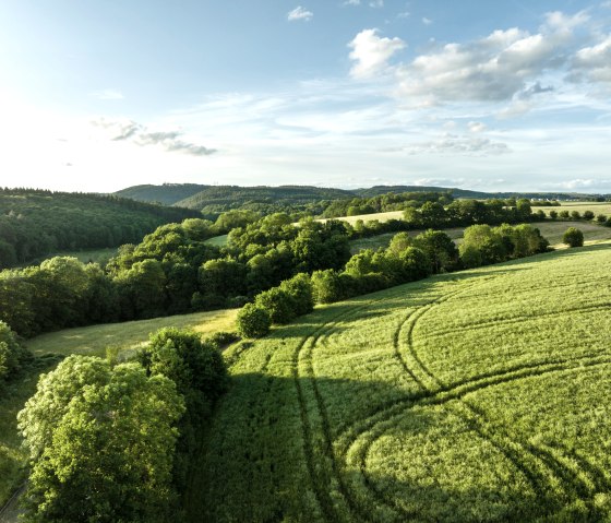 Grüne Felder und Wälder erstrecken sich unter einem blauen Himmel mit Wolken. Die Landschaft ist sanft hügelig und von Sonnenlicht durchflutet., © Eifel Tourismus, Dominik Ketz