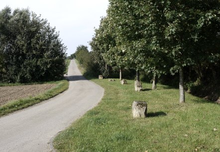 Un chemin asphalt&eacute; serpente &agrave; travers un paysage verdoyant d'arbres et de prairies. Des pierres bordent le chemin., &copy; Berscheid