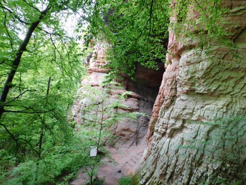 An impressive rock landscape surrounded by lush greenery. The stones exhibit fascinating textures and colors.