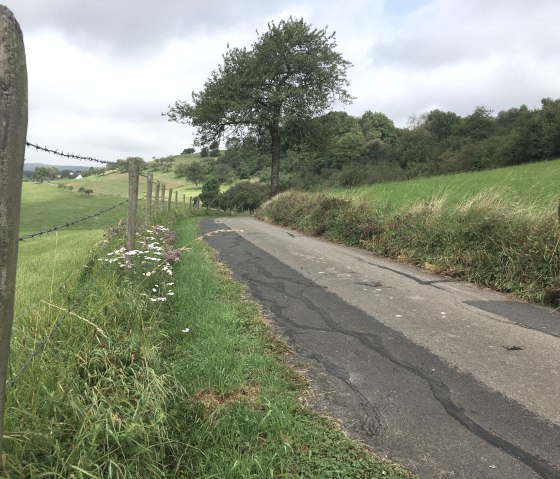 Wandelroute W2, &copy; TI Bitburger Land