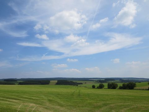 Eine weite Wiesenlandschaft unter einem blauen Himmel mit wenigen Wolken. Im Hintergrund sind sanfte Hügel und Bäume zu sehen.