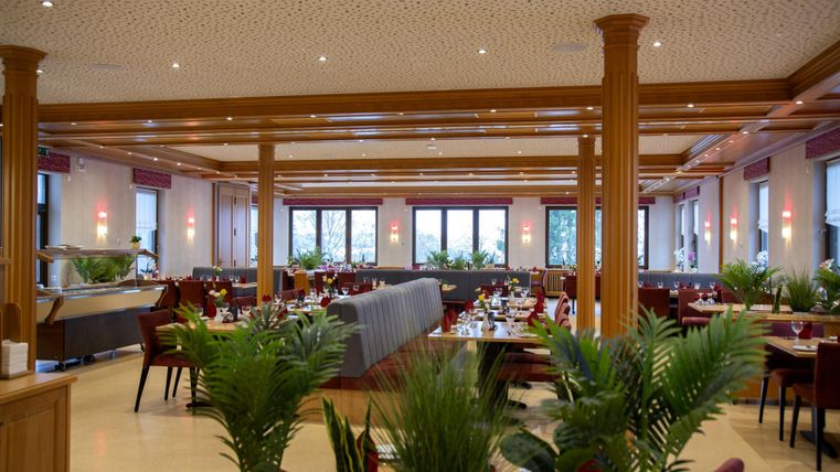 An elegant restaurant with stylish tables and plants. Large windows provide plenty of daylight and an inviting atmosphere.