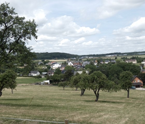 Vue d'un paysage rural avec des arbres et des prairies au premier plan, un village &agrave; l'arri&egrave;re-plan et des &eacute;oliennes &agrave; l'horizon., &copy; TI Bitburger Land