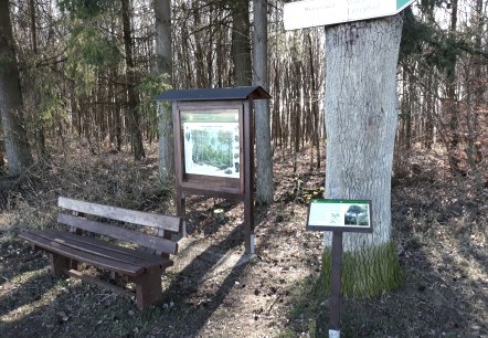 20190227_153143, &copy; Reinhold Hoffmann, Eifelverein Mettendorf-Sinspelt