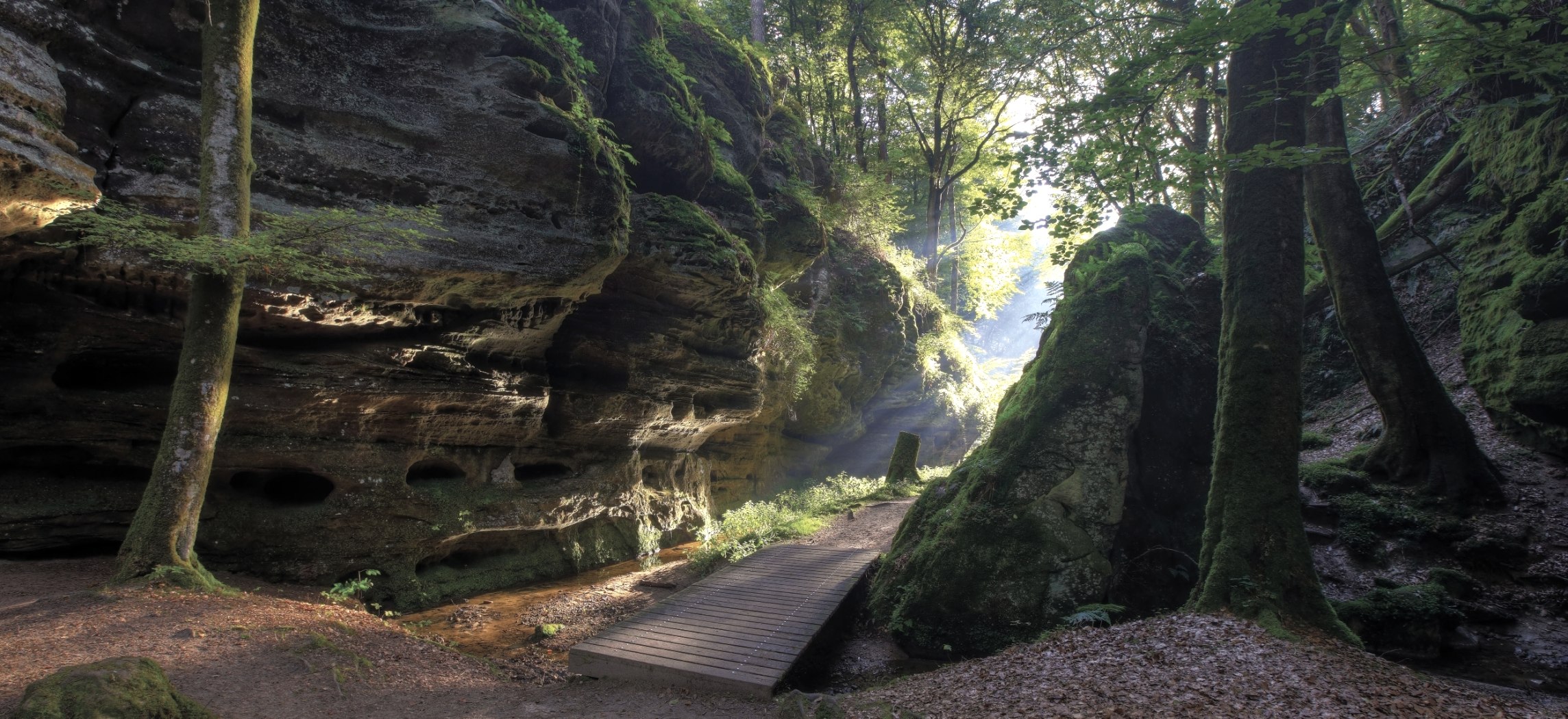 Das Aesbachtal auf dem Felsenweg1 des Naturwanderpark delux zwischen Echternach und Berdorf, © Naturpark Südeifel, Ch. Schleder