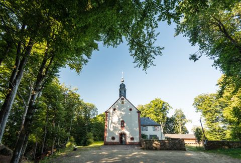 Schankweiler Klause surrounded by trees under a clear sky.