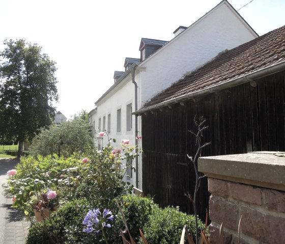 Ein wei&szlig;es Bauernhaus in Dahlem mit einem gepflegten Garten voller Blumen. Die Sonne scheint, und ein Baum steht im Hintergrund., &copy; Valentin Stamer