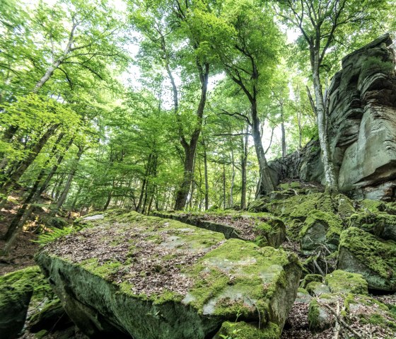 Formation rocheuse Predigtstuhl dans le NaturWanderPark delux, © Eifel Toursimus GmbH, D. Ketz