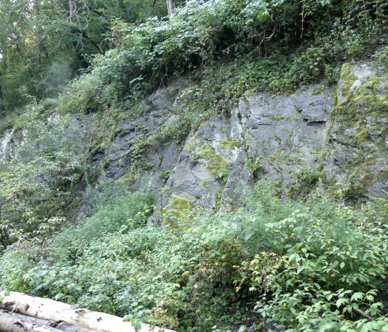 Rots aan de kant, &copy; Tourist-Information Islek