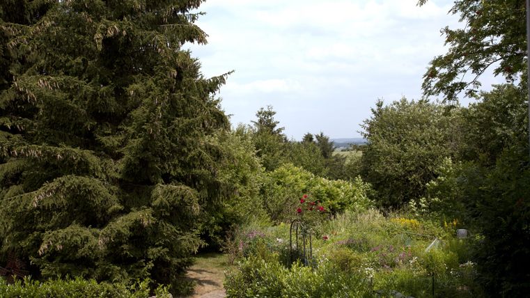 A green garden with various plants and trees. The sky is slightly cloudy and the landscape looks peaceful.