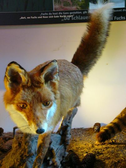 A stuffed fox stands on a tree trunk. It has detailed fur and is looking attentively at the camera.