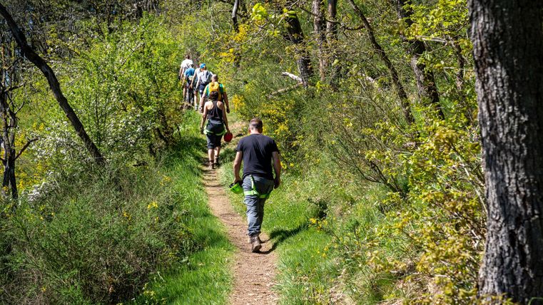 Een groep mensen wandelt op een smal pad door een bosrijk gebied. De omgeving is groen en vol verse lentegroenten.