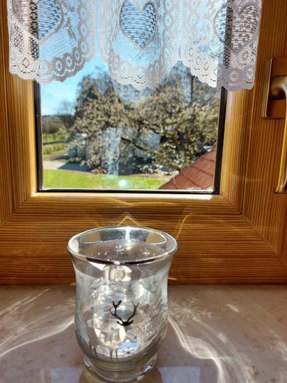 A beautiful view from a window with a glass and translucent stones. Outside, you can see the garden with trees and plenty of greenery.