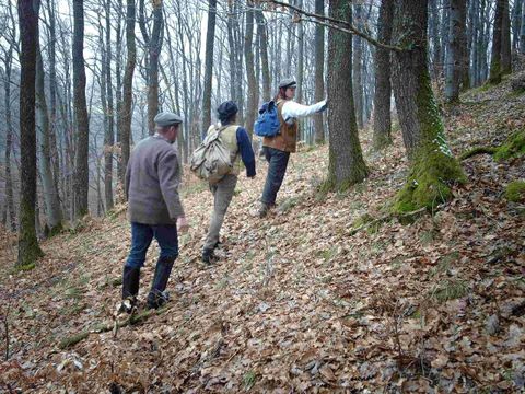 Drie personen wandelen door een bos met herfstbladeren. De bomen zijn kaal en de sfeer is rustig en natuurverbonden.