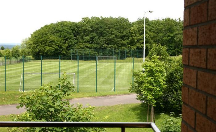 A soccer field with freshly mowed grass and two goals. Surrounded by trees and green spaces.