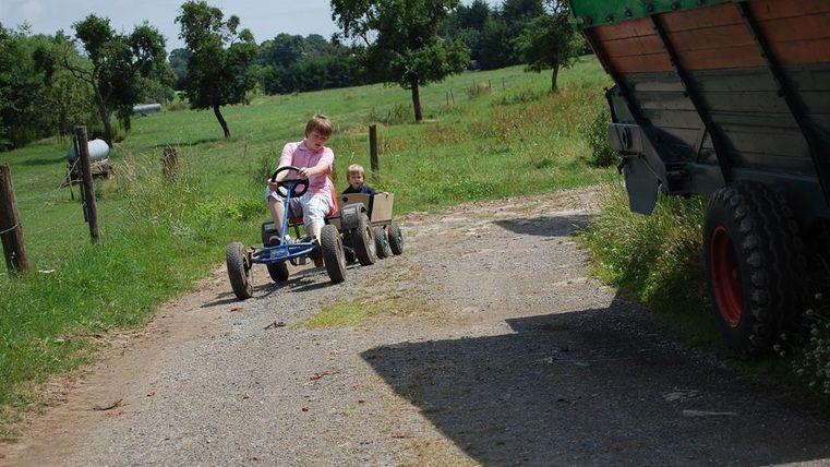 A child is driving a pedal go-kart on a path between meadows. In the background, trees and a tractor can be seen.