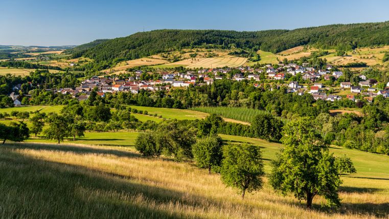 Landscape in the Prüm Valley with hop fields and orchards near Holsthum.
