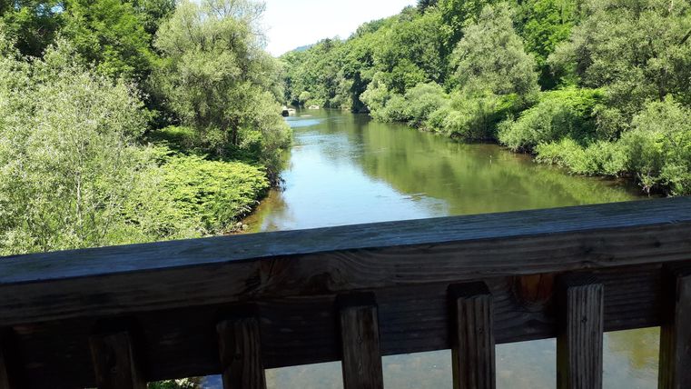 Une rivière calme, entourée d'une végétation riveraine luxuriante et verte. À l'arrière-plan, le paysage naturel avec des arbres est visible.