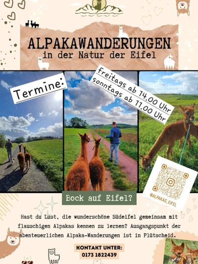 Alpacawandelingen in de Eifel. Beleef de natuur met fluffy alpaca's en geniet van het mooie landschap.