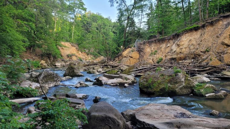Ein ruhiger Fluss fließt durch eine grüne Landschaft mit Felsen und Bäumen. Das Ufer zeigt einen leichten Hang mit freiliegendem Erdreich.