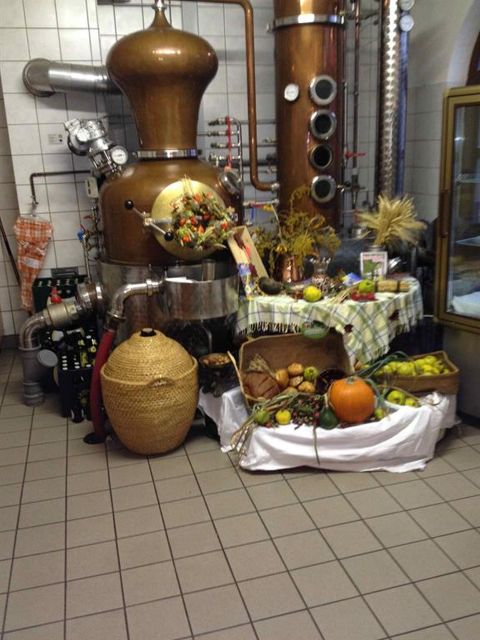 Une distillerie avec des équipements en cuivre brillants et une présentation décorative de fruits. Sur une table, différentes fruits et paniers sont joliment disposés.