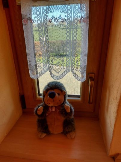 A cute plush toy in the shape of a hedgehog sits on a windowsill. In the background, there is a view of the green landscape through a decorative lace window.