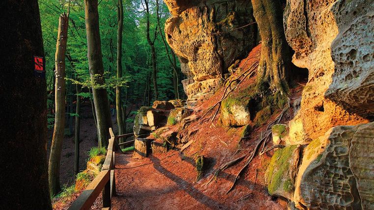 Ein Waldweg, der entlang einer felsigen Wand führt. Das Licht der Sonne fällt sanft auf den Boden und die Bäume.