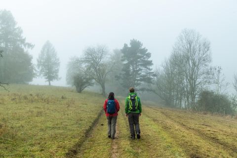Deux randonneurs marchent sur un chemin étroit à travers un paysage brumeux. Entourés d'arbres et de champs herbeux, l'atmosphère est calme et mystérieuse.
