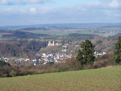 Une vue pittoresque sur un village avec un château en arrière-plan. Le paysage est vert et vallonné, sous un ciel dégagé.