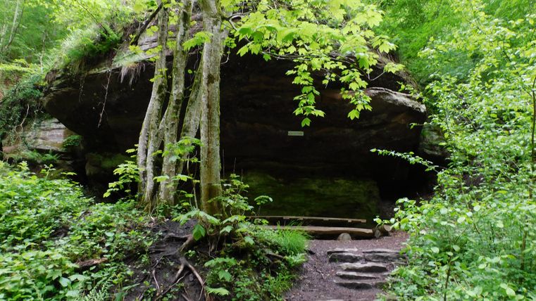 A small cave, surrounded by green trees and plants. Steps lead to a quiet spot in front of the rock wall.