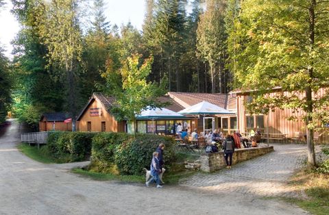 Een gezellig restaurant in een bosgebied met veel groen. Bezoekers zitten buiten en genieten van de natuur.