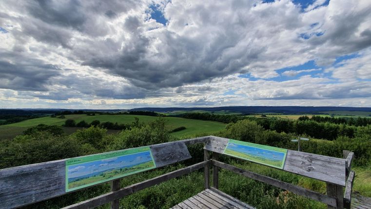 A viewpoint with a wooden railing and two information panels. In the background, green hills and a cloudy sky can be seen.