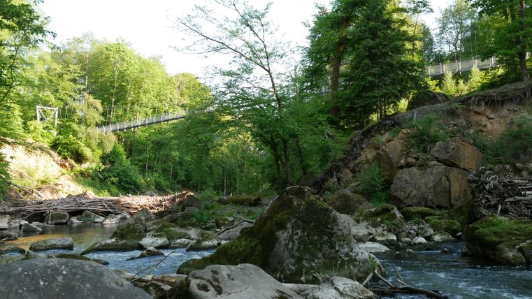 View from the bank of the Prüm below the former wooden bridge onto the suspension bridge that spans the rapids.