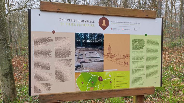 Een informatiebord over het Pielbergmaal bevindt zich in het bos. Het bord bevat tekst en afbeeldingen die de geschiedenis en de locatie van het monument uitleggen.