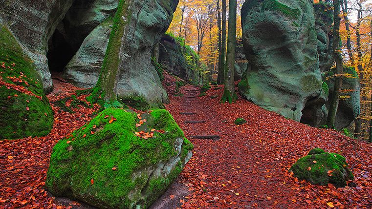 Ein herbstlicher Waldweg mit moosbedeckten Felsen und buntem Laub.