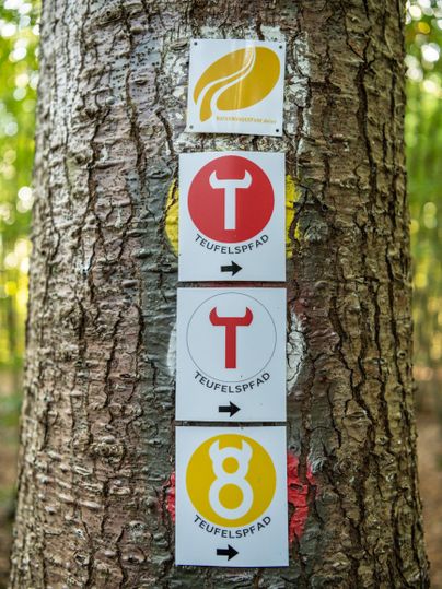 Ein Baum mit mehreren bunten Wegweisern. Die Schilder zeigen verschiedene Richtungshinweise für Wanderwege.