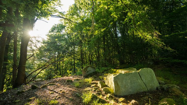 Stone box grave in the forest with sunlight through the trees.