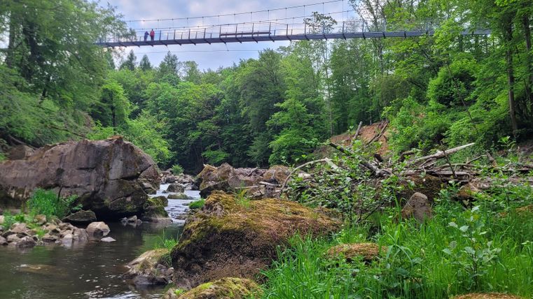 A quiet landscape with a small river and many green trees. A suspension bridge spans the river, giving the image a special touch.