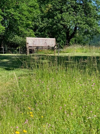 A cozy bench is located in a green meadow with colorful wildflowers. In the background, trees and a blue sky can be seen.