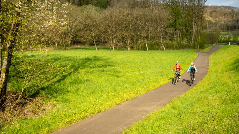 Zwei Radfahrer auf einem Weg durch eine grüne Wiese mit Bäumen im Hintergrund.