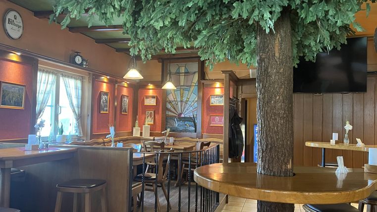 Ein gemütliches Restaurant mit Holzdekor und einer großen künstlichen Pflanze in der Mitte. Es gibt Tische, Stühle und eine freundliche Atmosphäre.