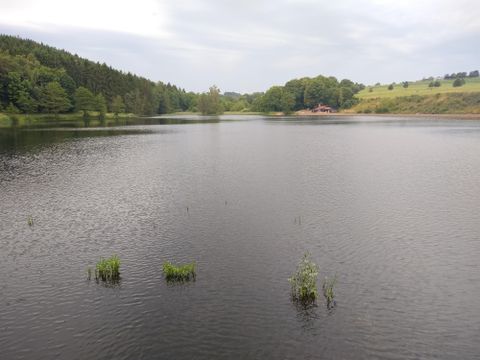 Een rustige meer omgeven door bomen en zachte heuvels. Het wateroppervlak is glad en weerspiegelt de lucht.